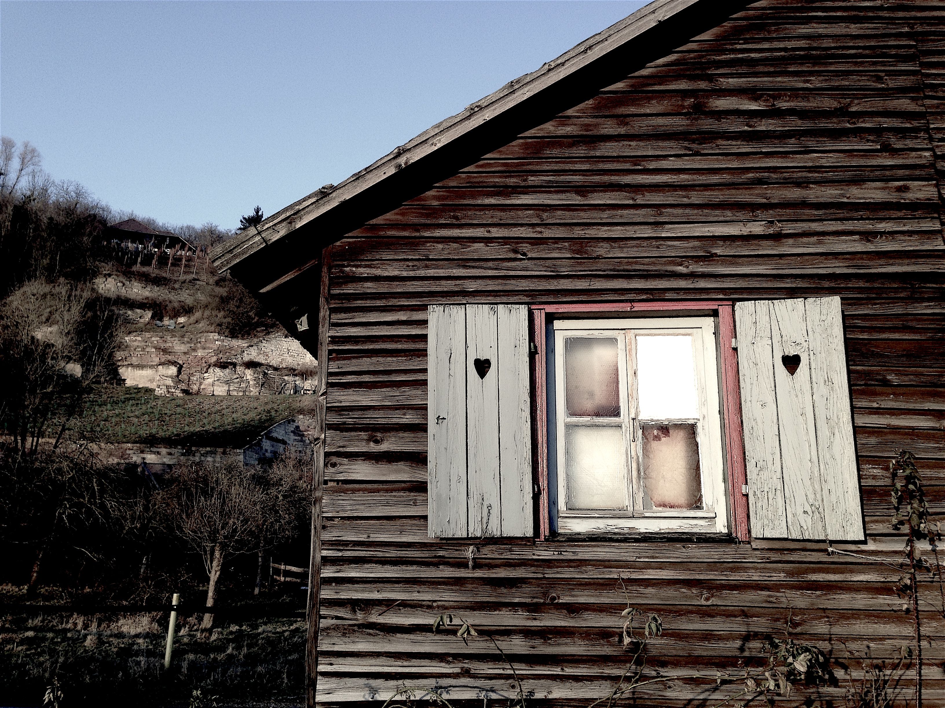 Winterwanderung am Blütengrund