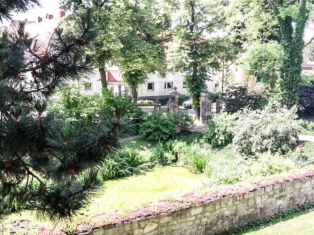 Blattwerk am Naumburger Dom