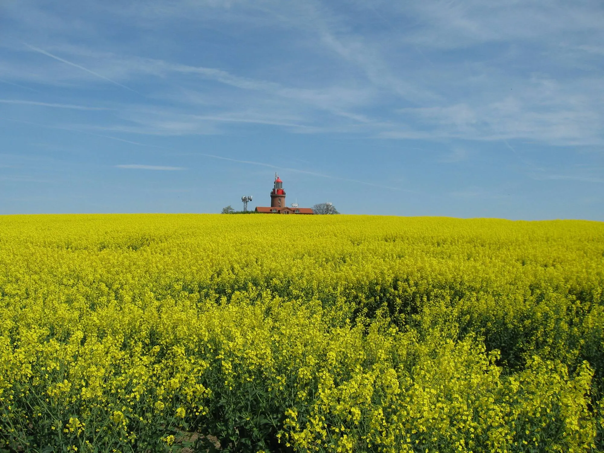 Leuchtturm Bastorf hinter einem gelb blühenden Rapsfeld