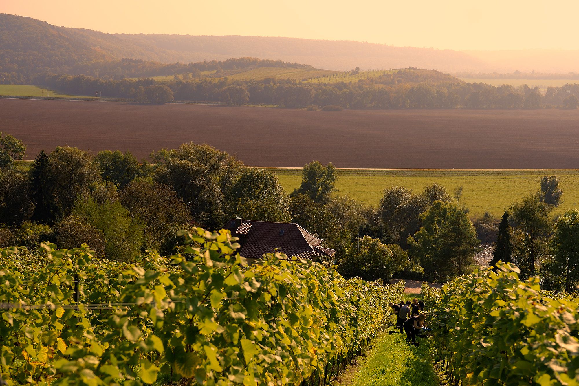Naumburg – Perle an der Saale